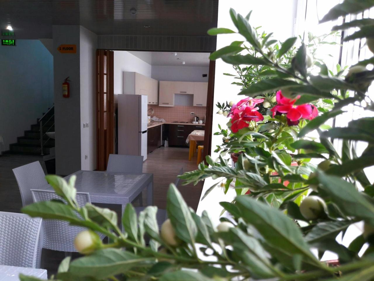 Jules Verne Hostel طشقند المظهر الخارجي الصورة